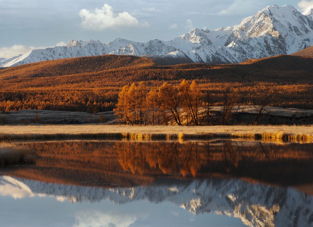 Photograph by Галина Хвостенко