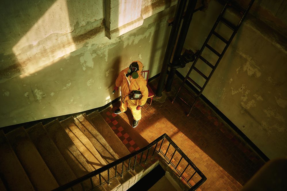 Фотография автора Александр Жданов