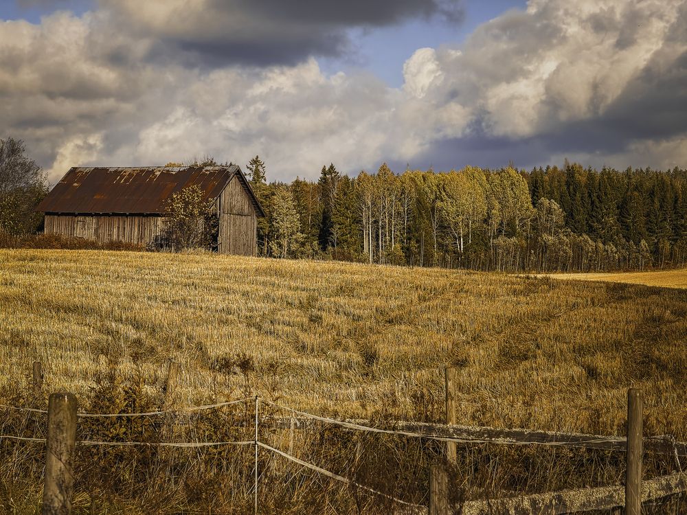 Photograph by Anna Sindikayeva