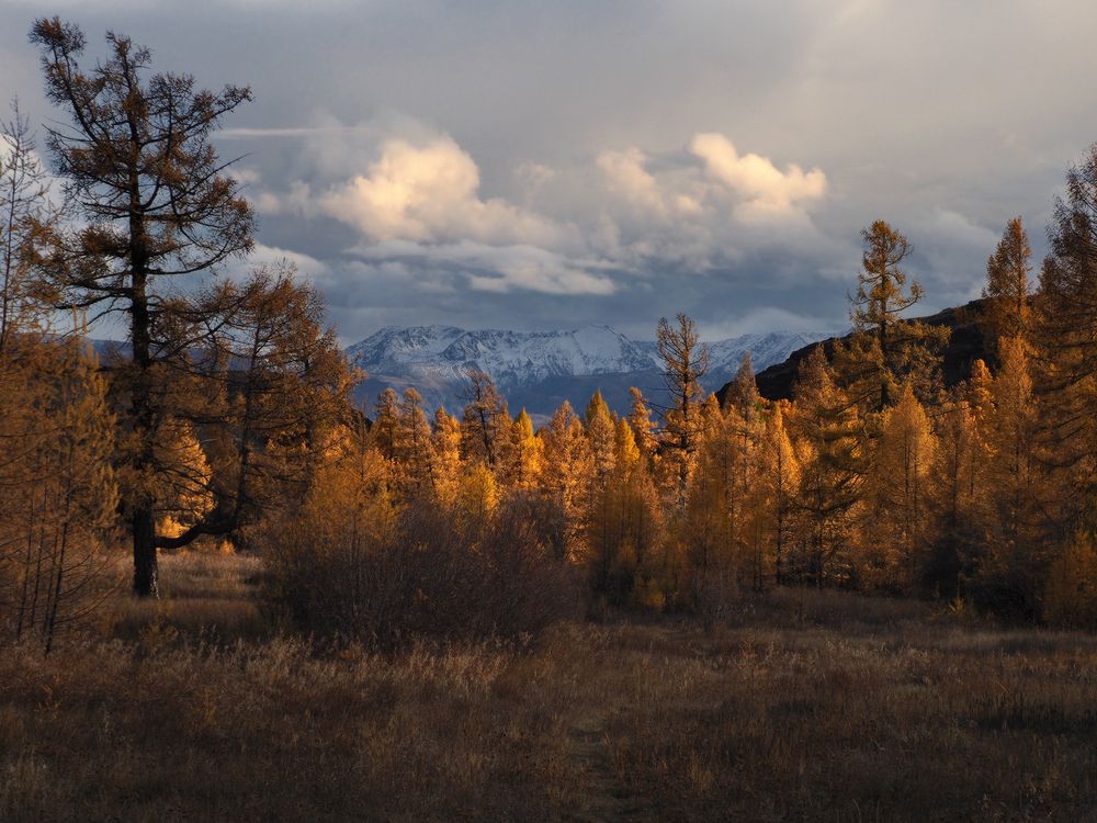 Photograph by Галина Хвостенко