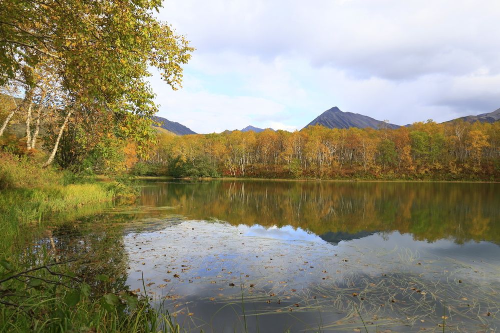 Photograph by Наталья Турчик