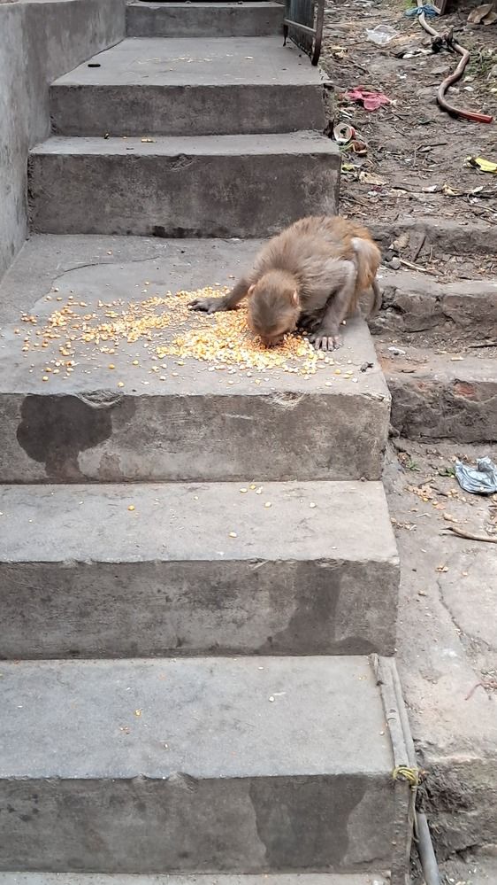 Photograph by Manish (Valmie) Joshi