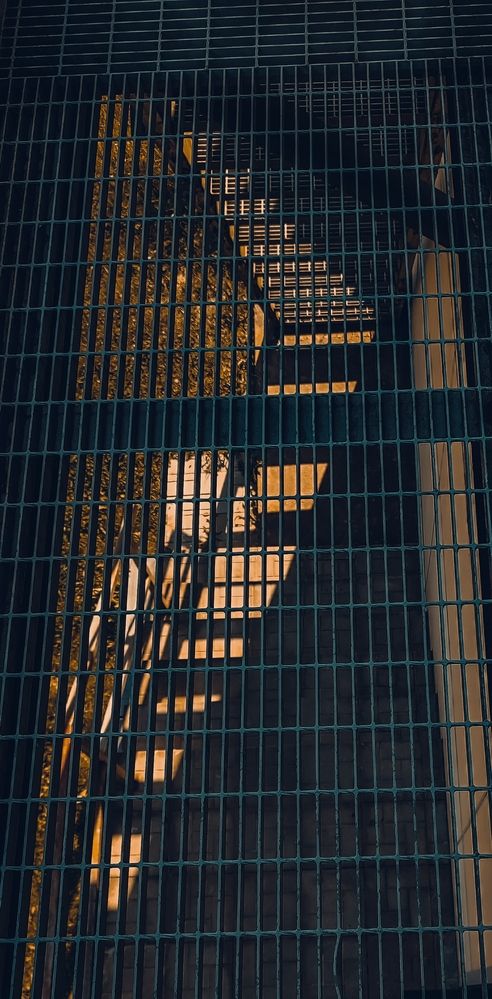 Photograph by Людмила Сергеева