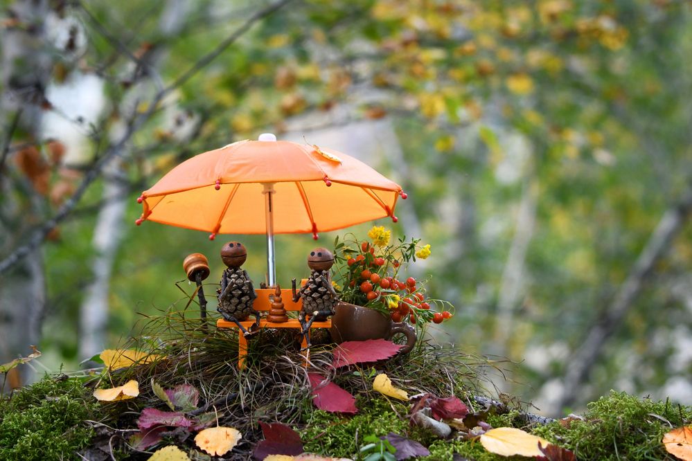 Романтическое свидание