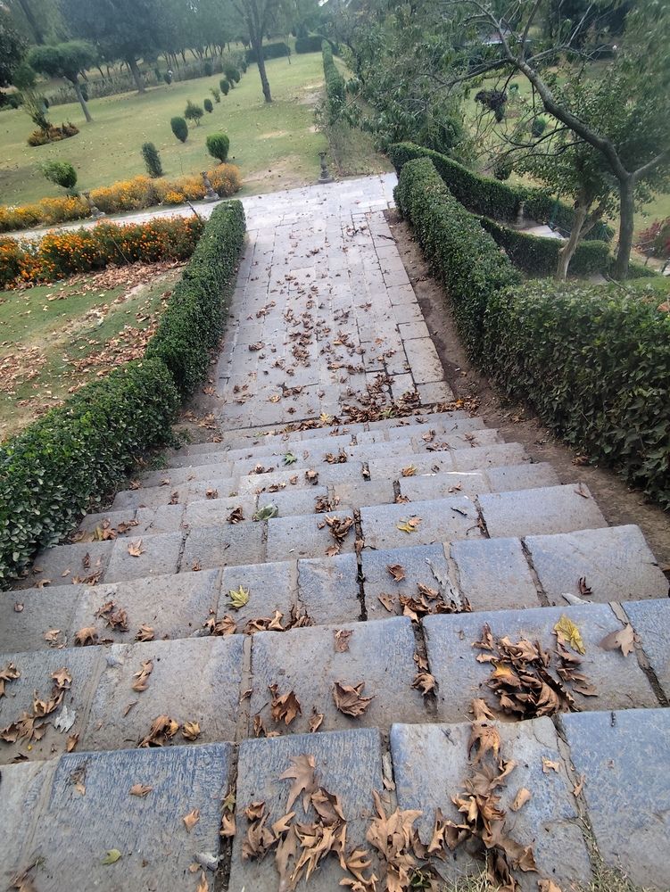 Photograph by Rehana