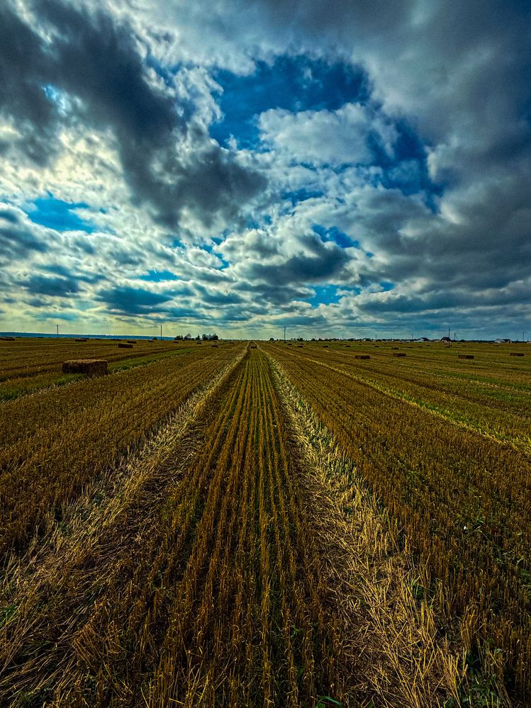 Photograph by Виктория Володько