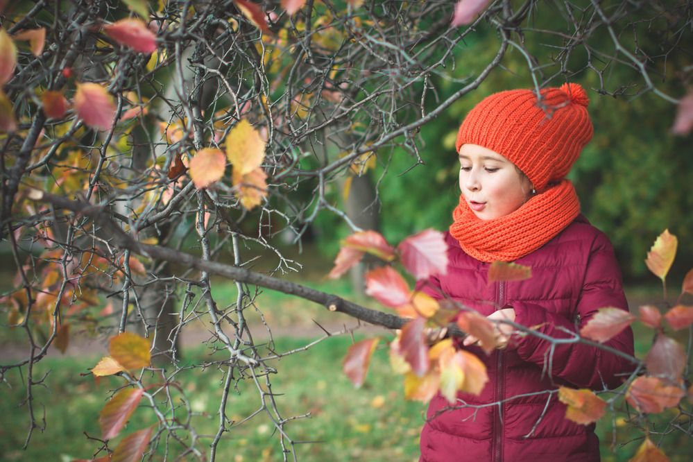 Фотография автора Анна Петина