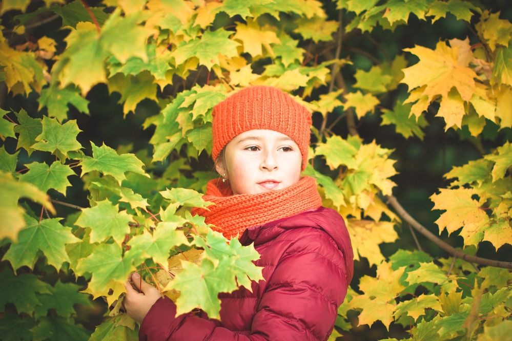 Фотография автора Анна Петина