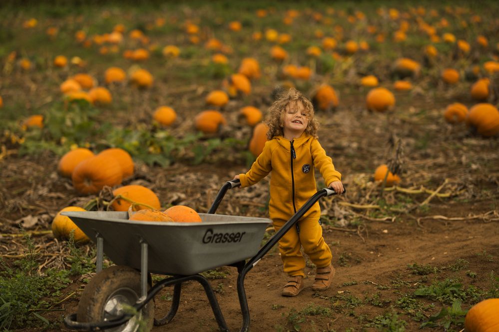 Photograph by Katerina Tighineanu