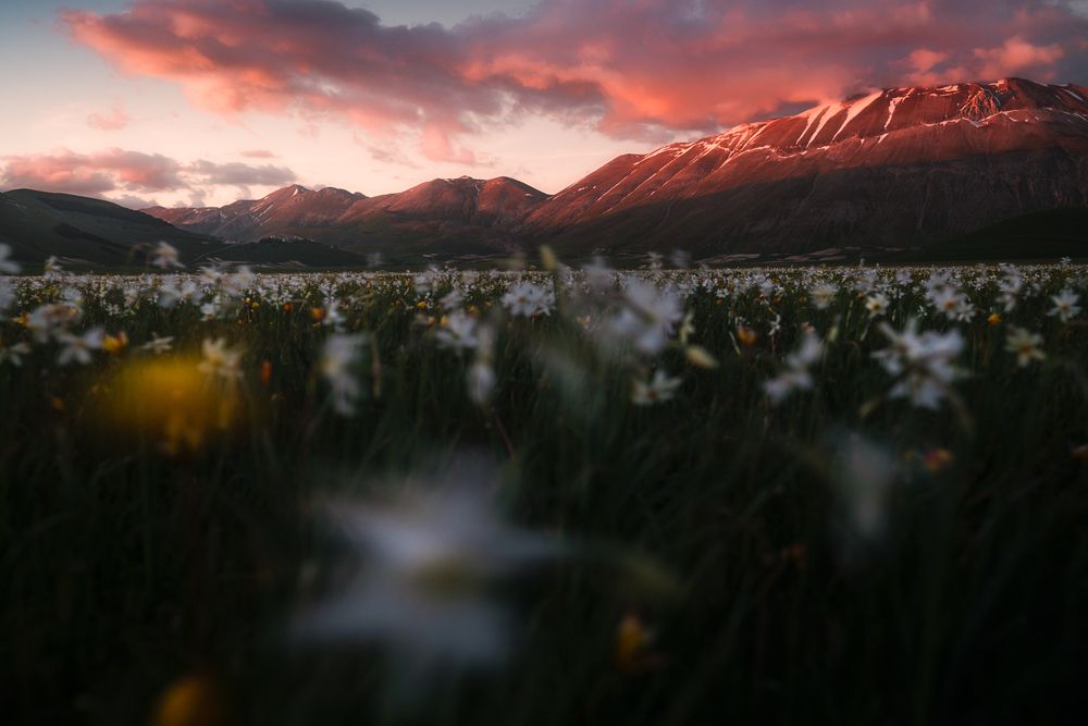 Photograph by Francesco Perticaroli