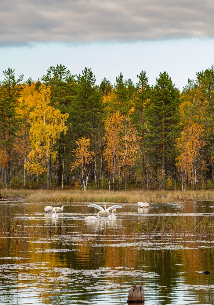 Photograph by Tanzilya Gabidullina