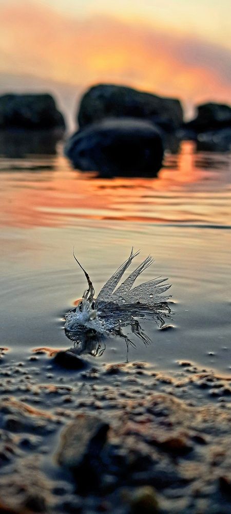 Photograph by Галина Перепечаева