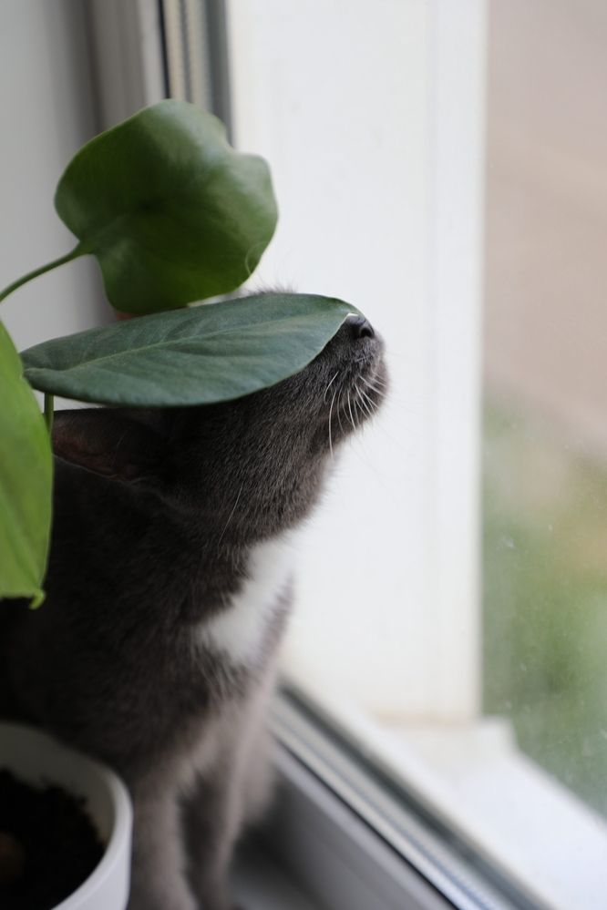 Photograph by Анна Иванова