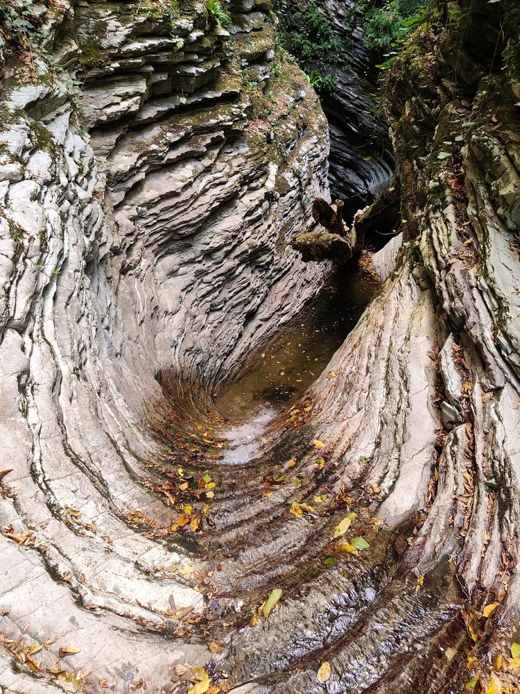 Photograph by Сергей Кривоносов