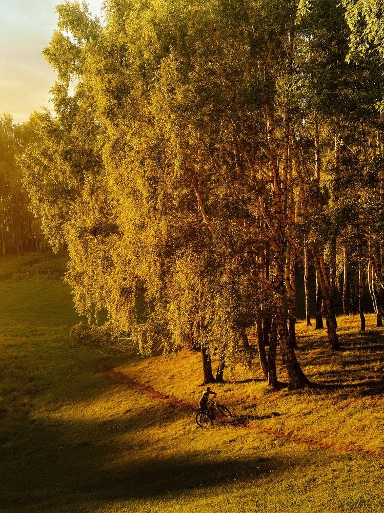 Photograph by Бороздина Мария