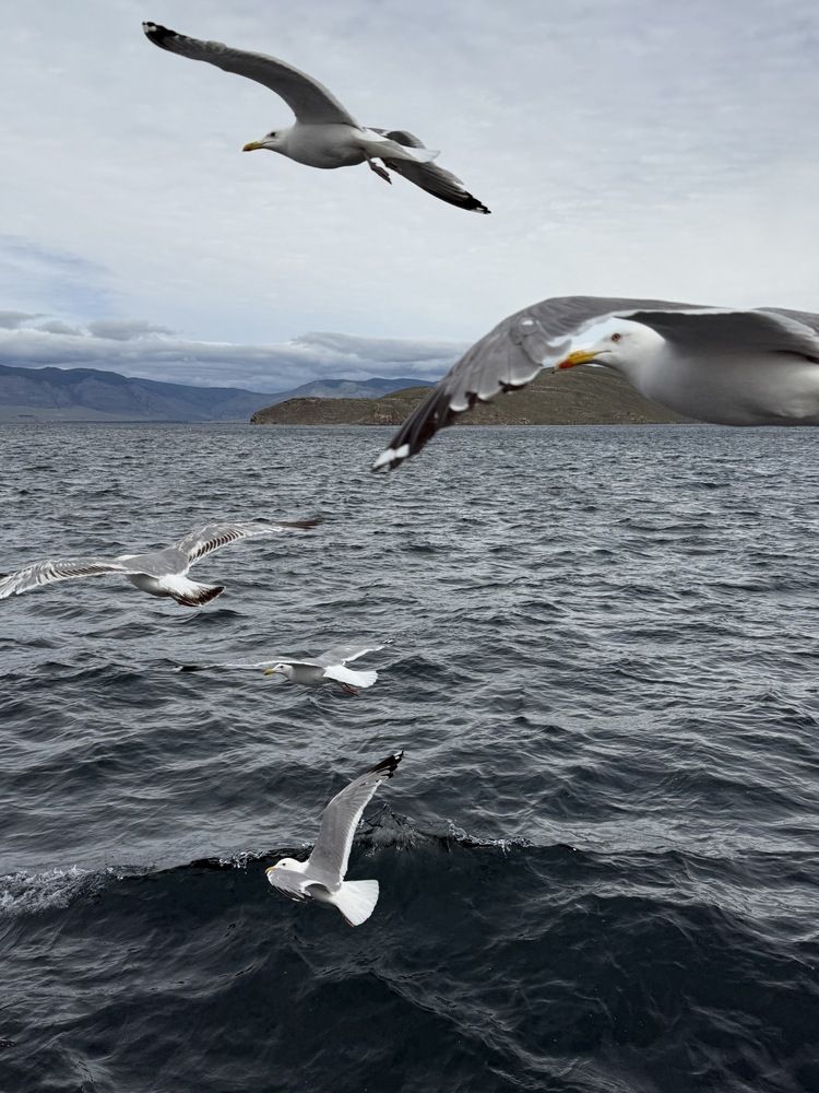Photograph by Даниил Платонов