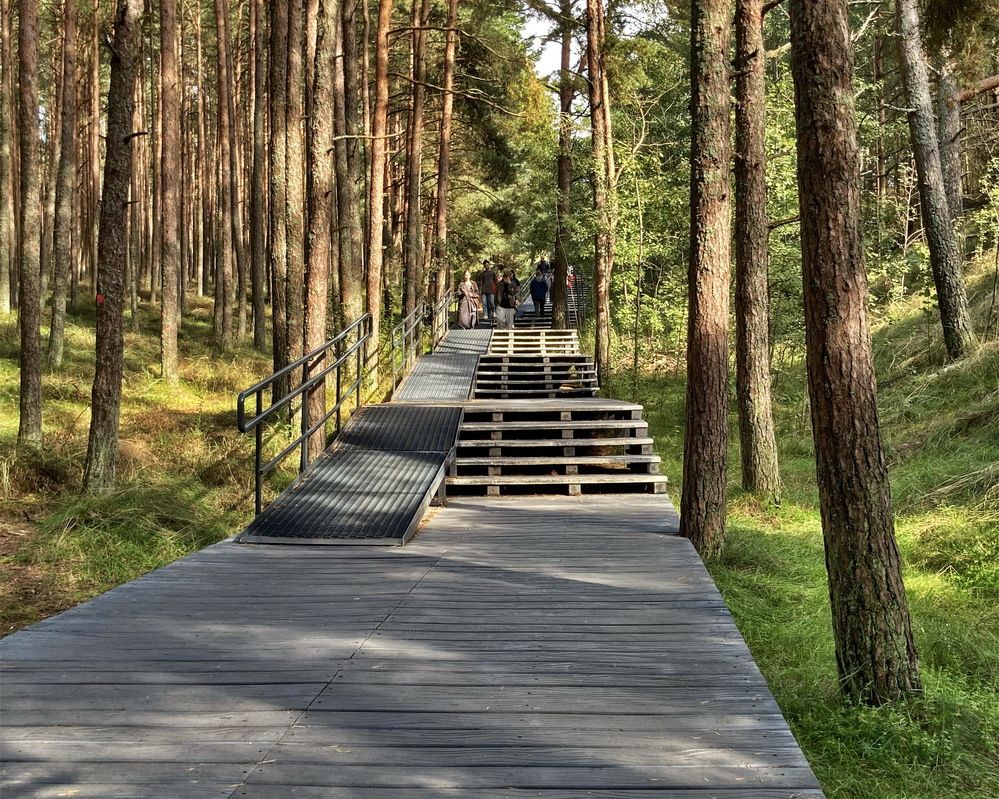 На Куршской косе