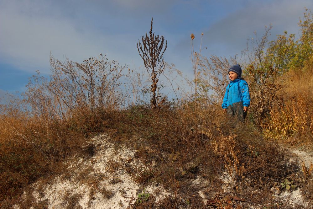 Photograph by Светлана Шубина