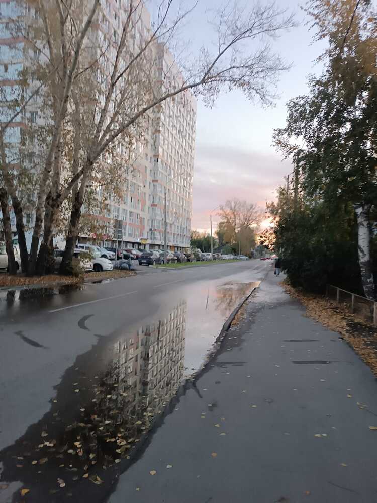 Фотография автора Елена Колышева