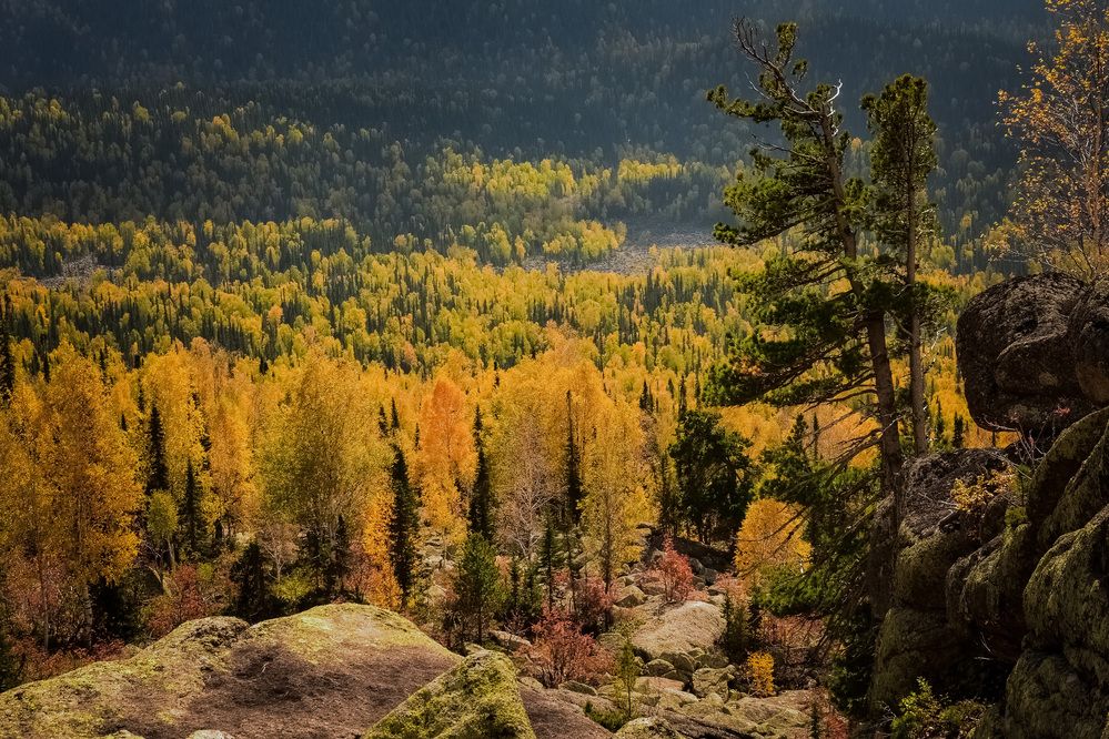 Краски осени