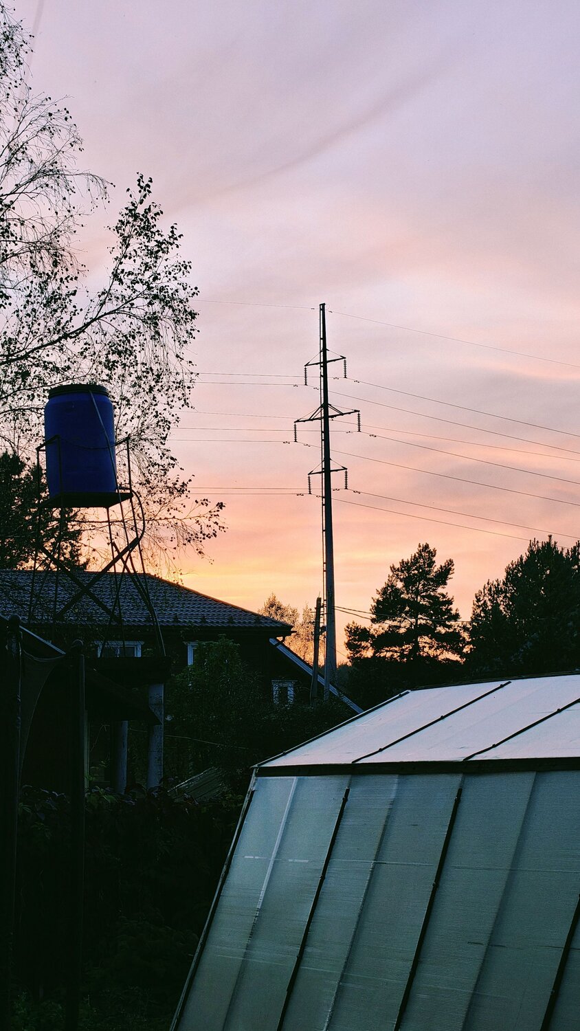 Photo #12669108
