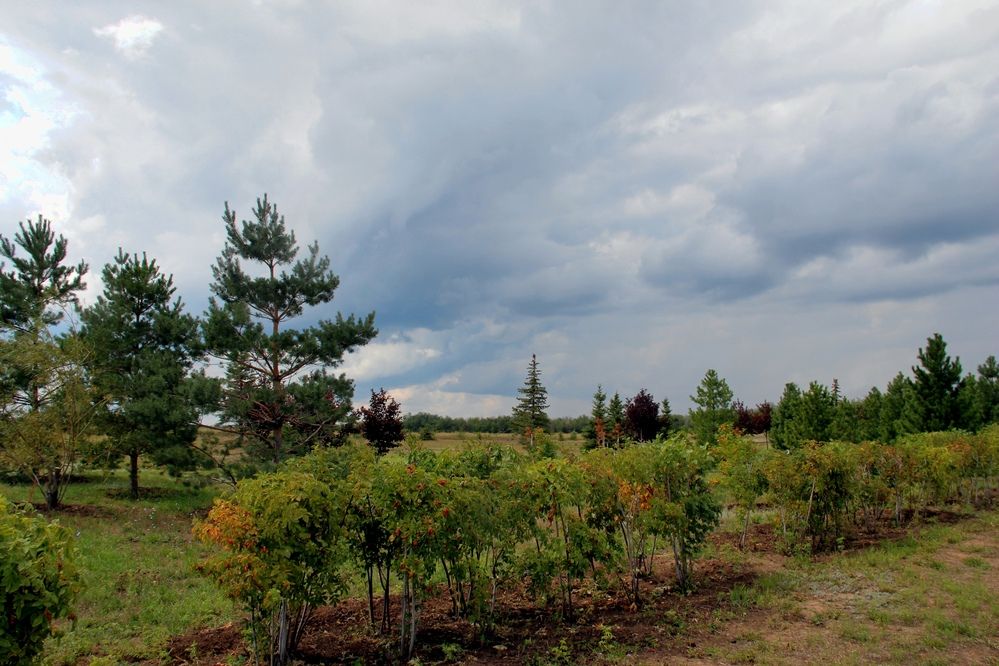 Photograph by Валентина