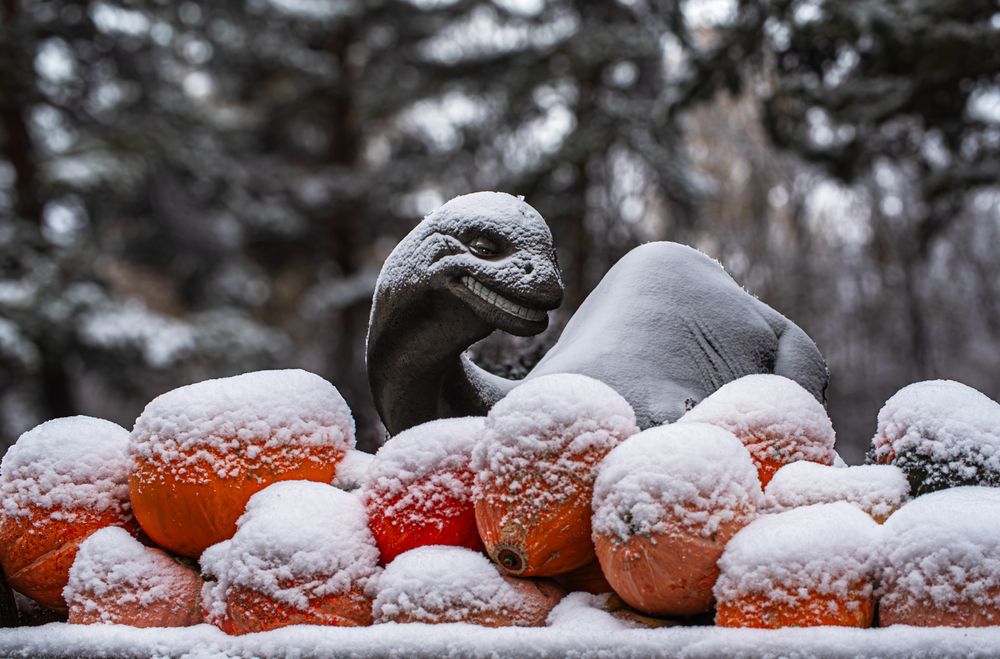 Photograph by Михаил Измайлов