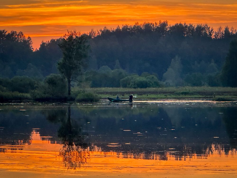 Photograph by Elena Gerasimova