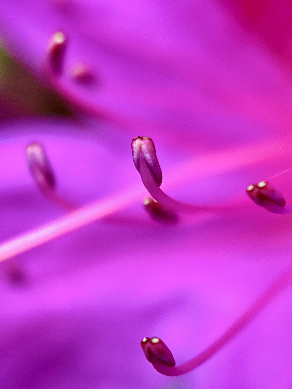 Photo #12669408