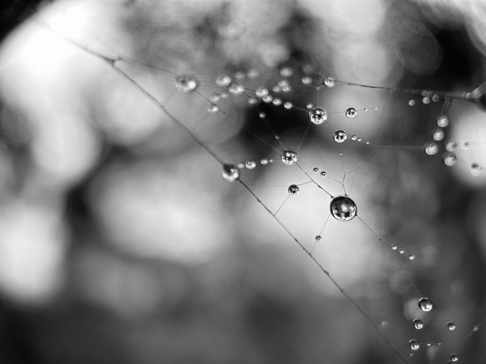 Фотография автора Tushar Bhogle