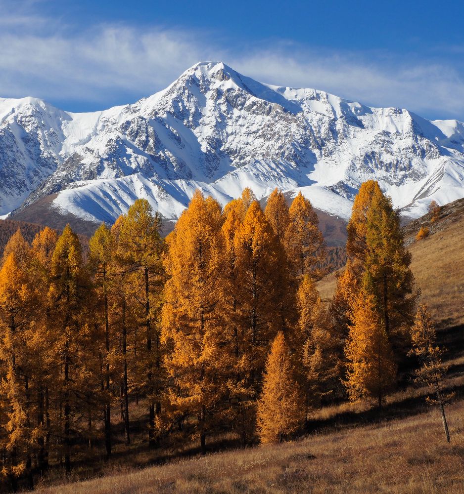 Photograph by Галина Хвостенко