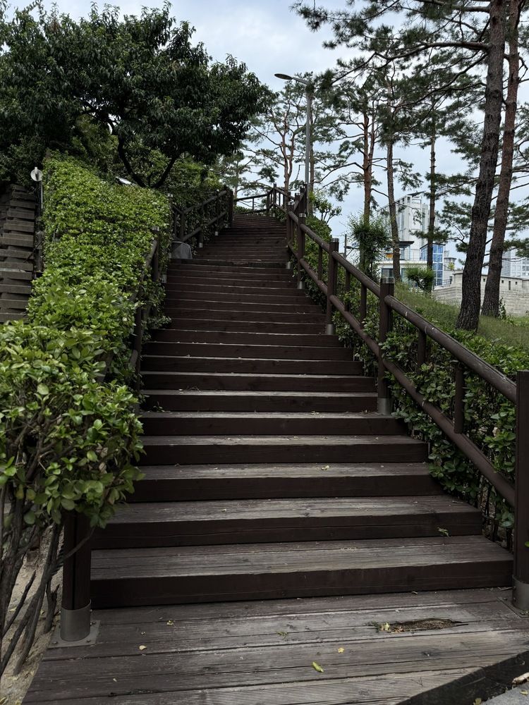 Photograph by Светлана