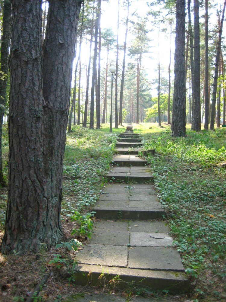 Photograph by Людмила Баглей