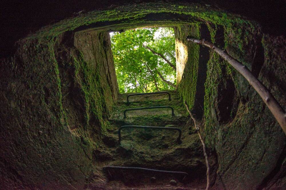 Photograph by Владимир Зубов