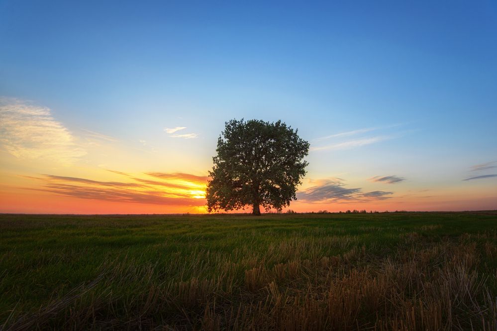 Photograph by Павел Абакумов