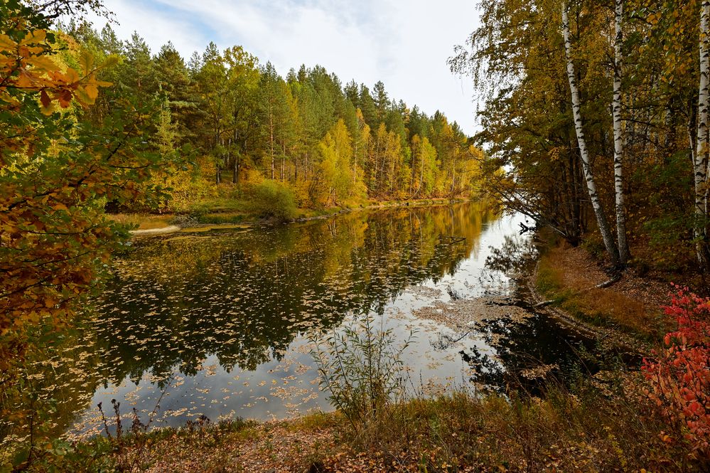 Разноцветная осень