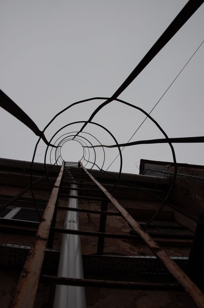 Фотография автора Светлана Поливанова