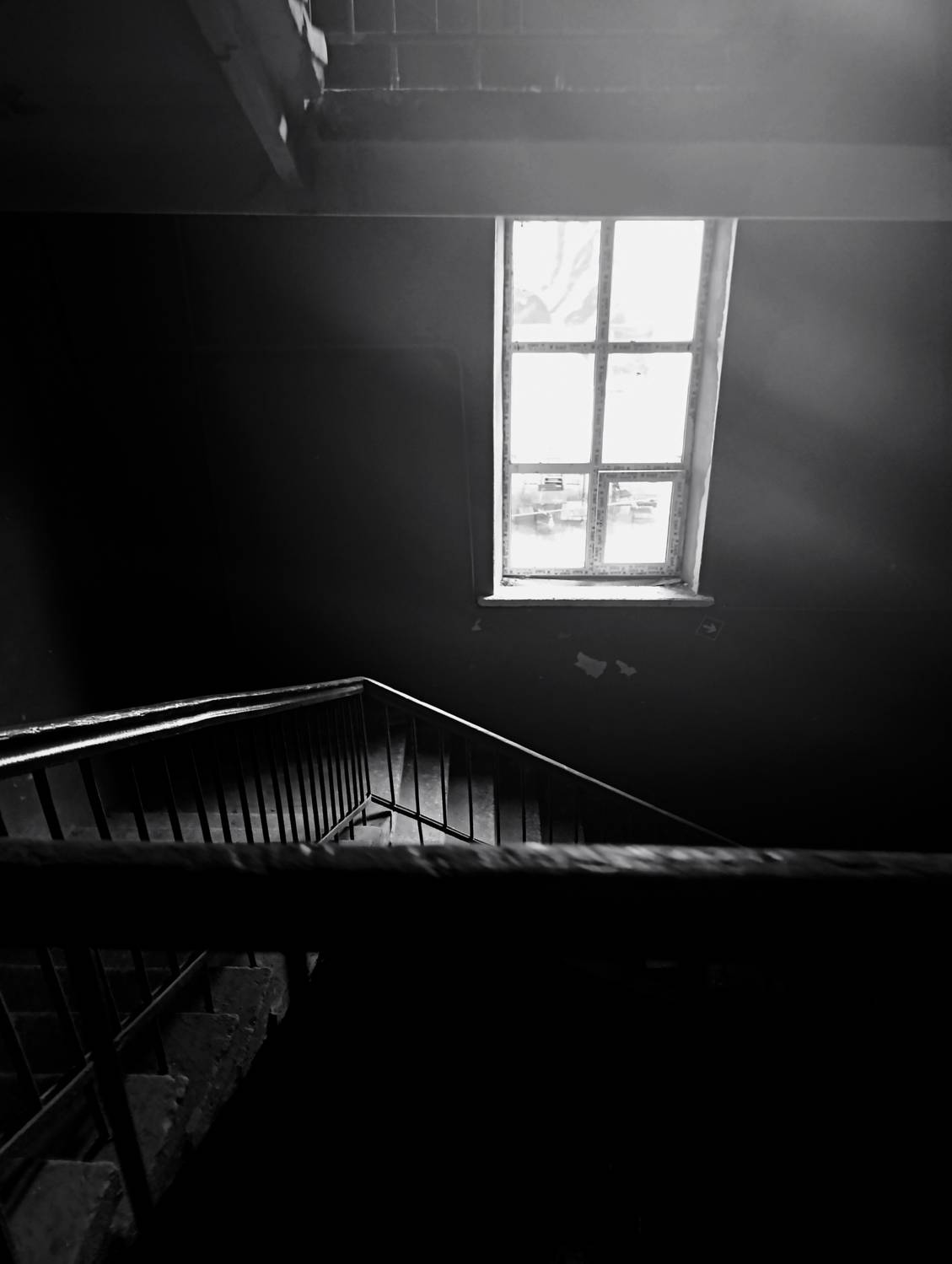 Photo #12670014