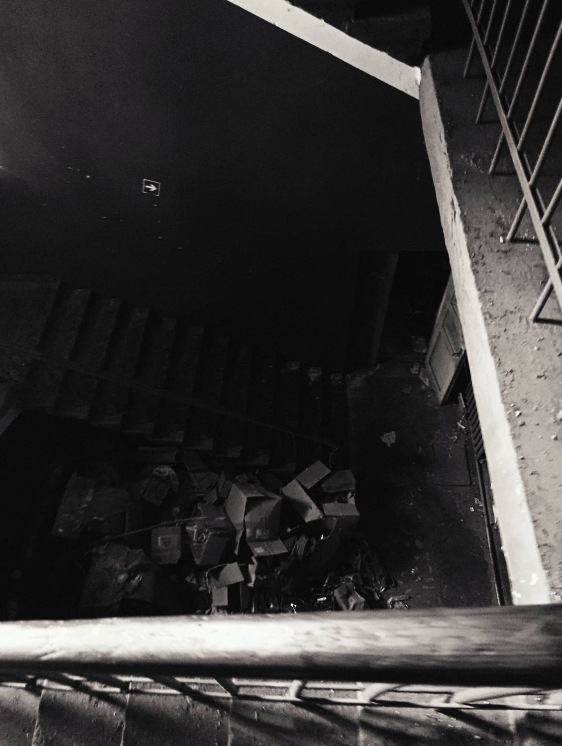 Photo #12670022