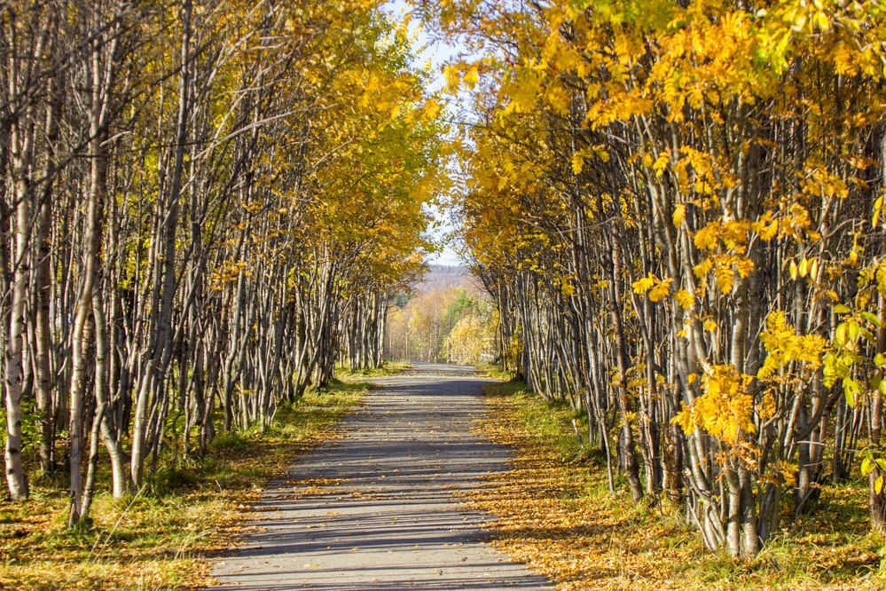 Photograph by Елена