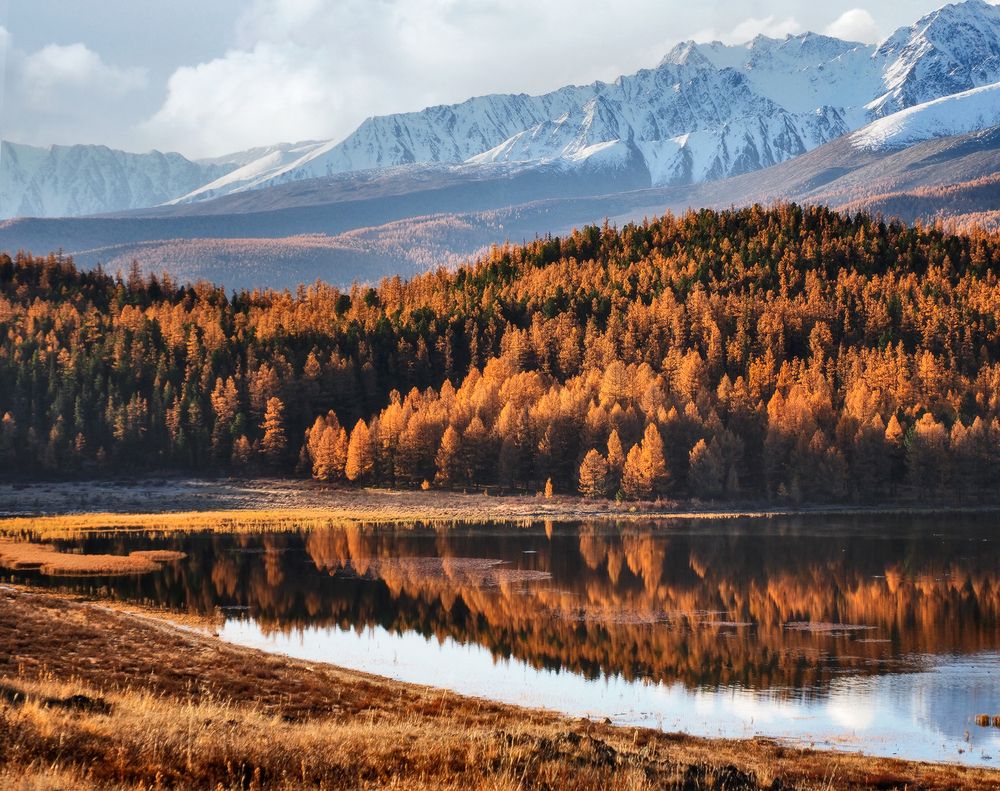 Photograph by Галина Хвостенко