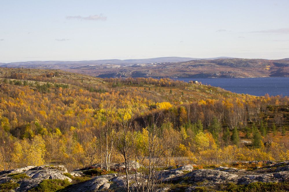 Photograph by Елена