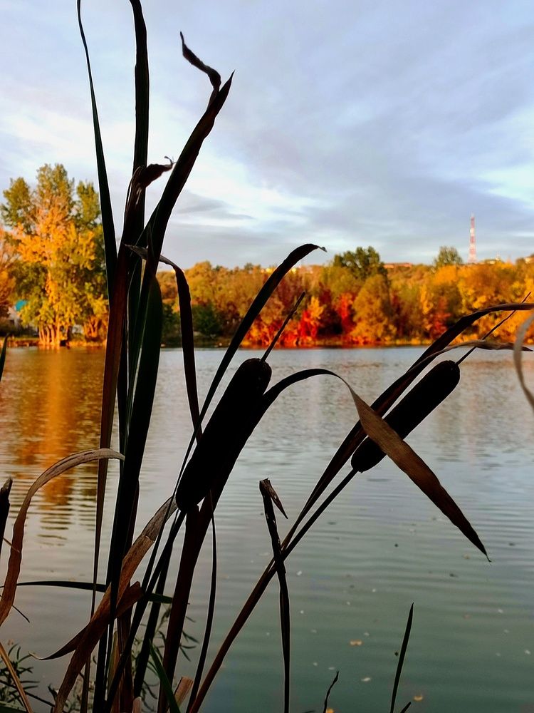 Photograph by Хоменчук Людмила