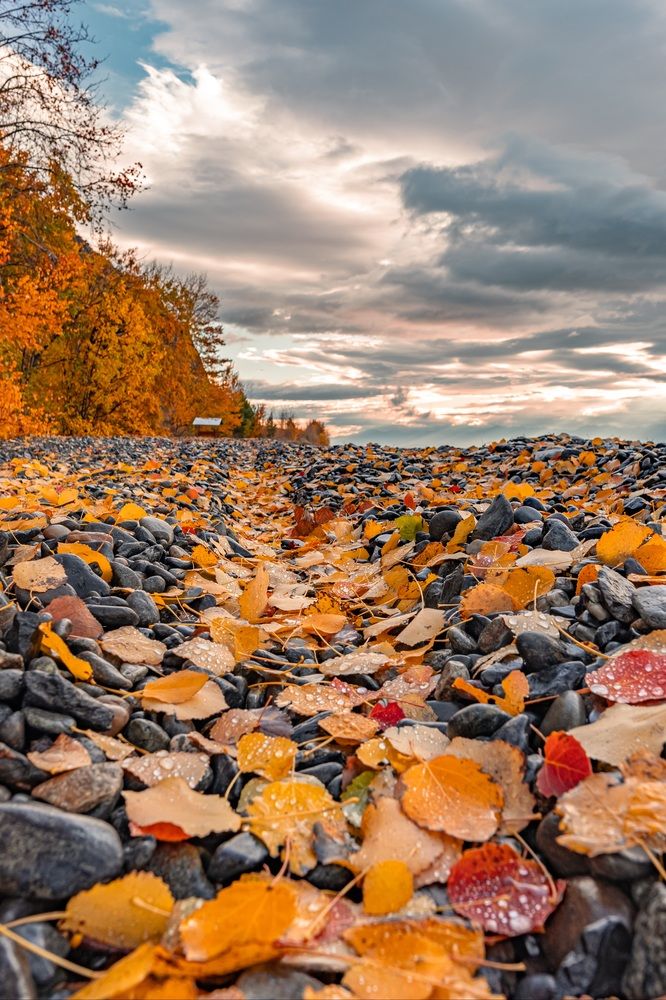 Photograph by Виктория Лобанова