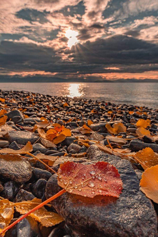 Photograph by Виктория Лобанова