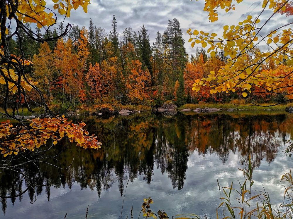 Photograph by Елена Артёменко