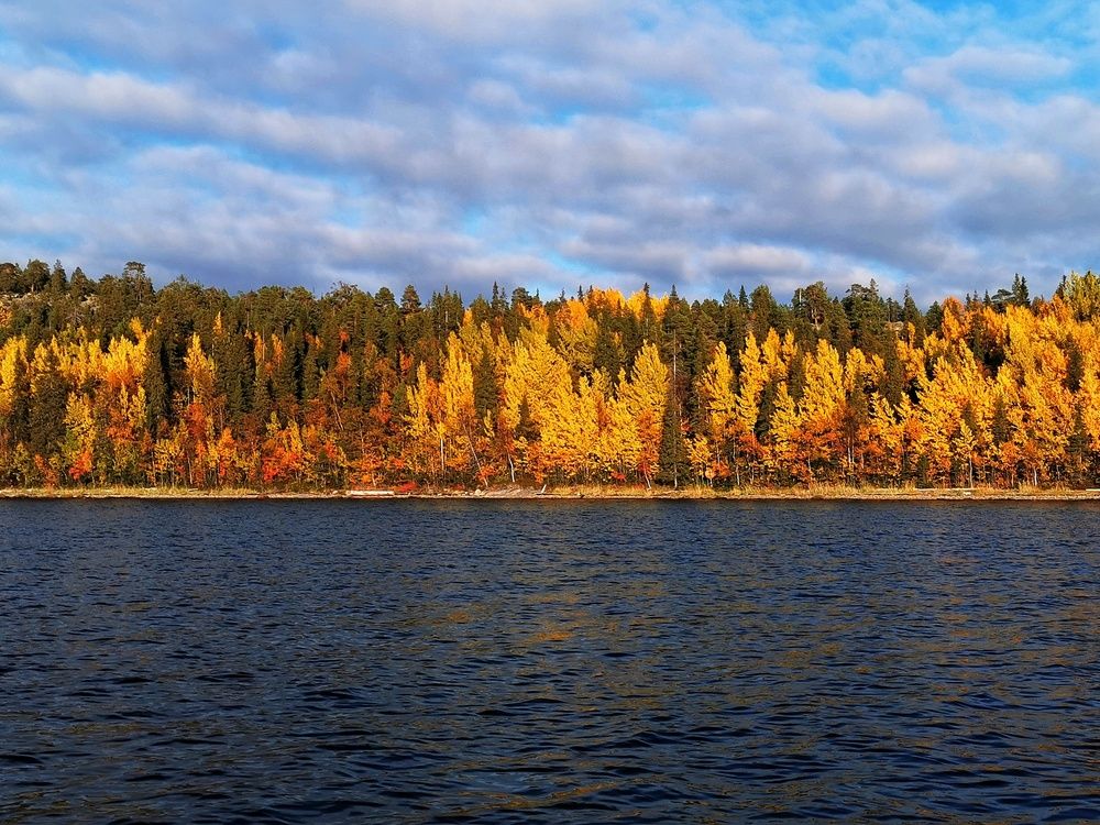 Photograph by Елена Артёменко