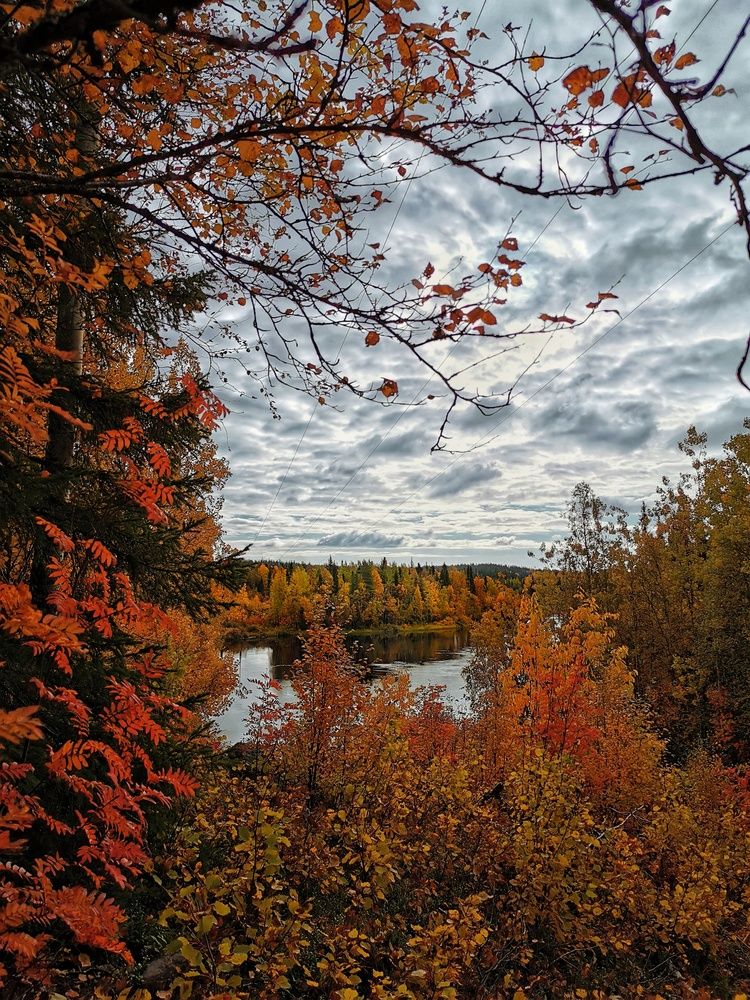 Photograph by Елена Артёменко