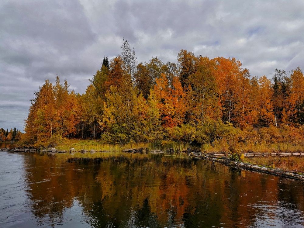 Photograph by Елена Артёменко