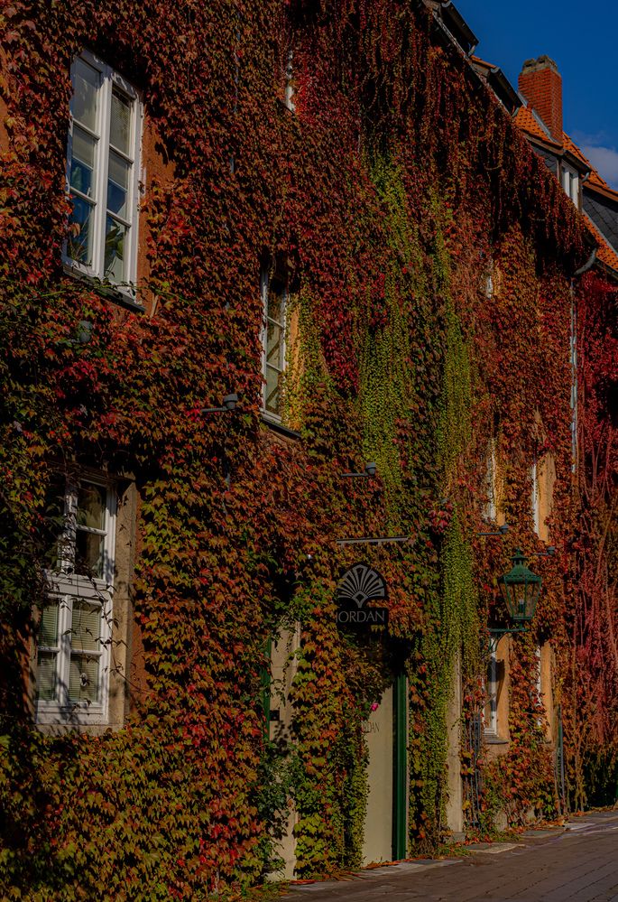 Photograph by Alena Tureva